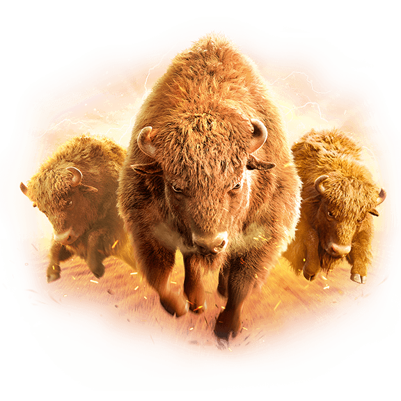 Buffalo Win Screenshot