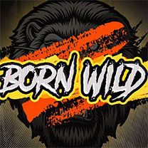 Hack Born Wild